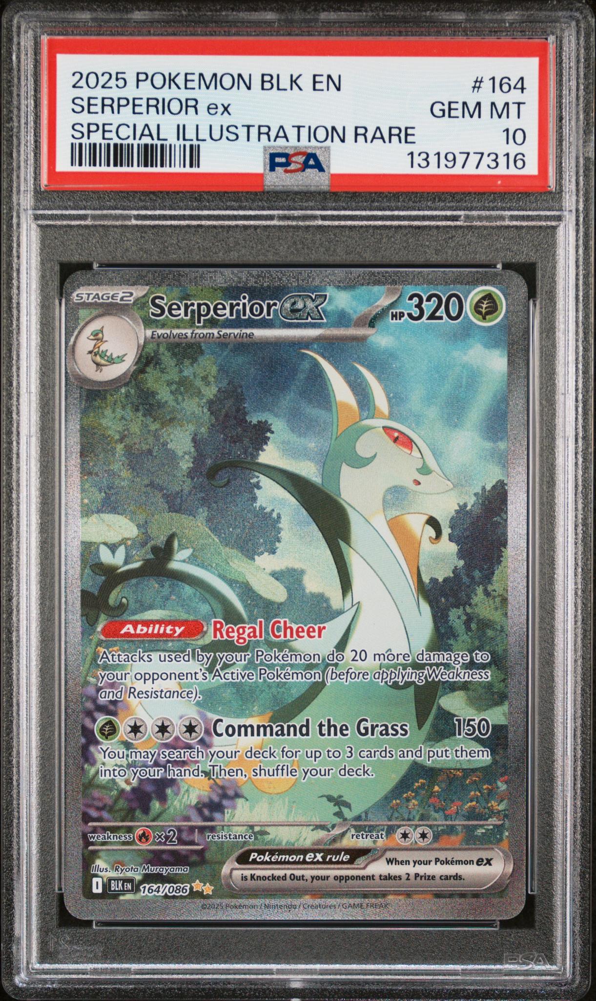 2025 Pokemon Scarlet and Violet Black Bolt Special Illustration Rare Serperior Ex #164 PSA 10