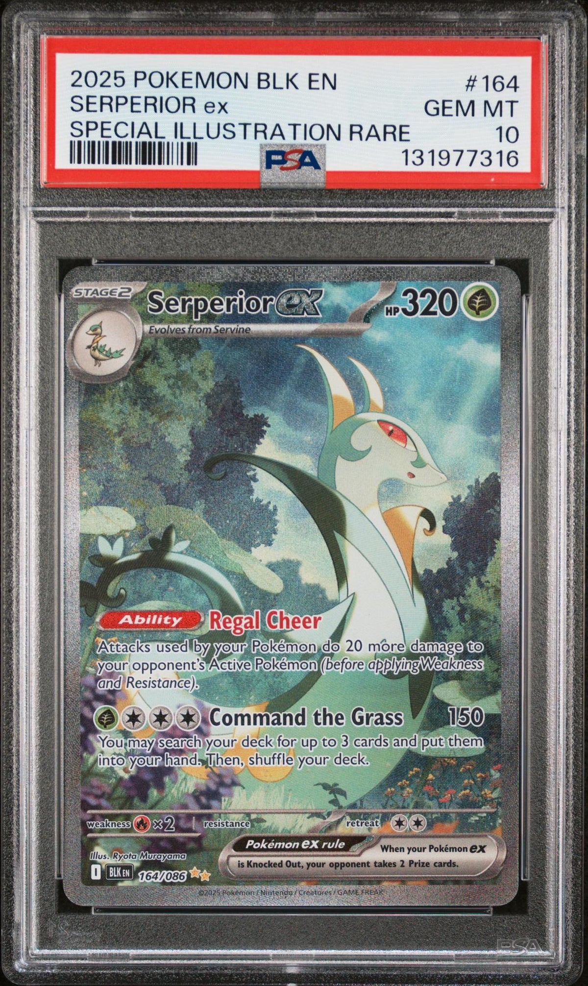 2025 Pokemon Scarlet and Violet Black Bolt Special Illustration Rare Serperior Ex #164 PSA 10
