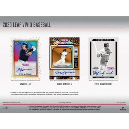 2025 Leaf Vivid Baseball Jumbo Box