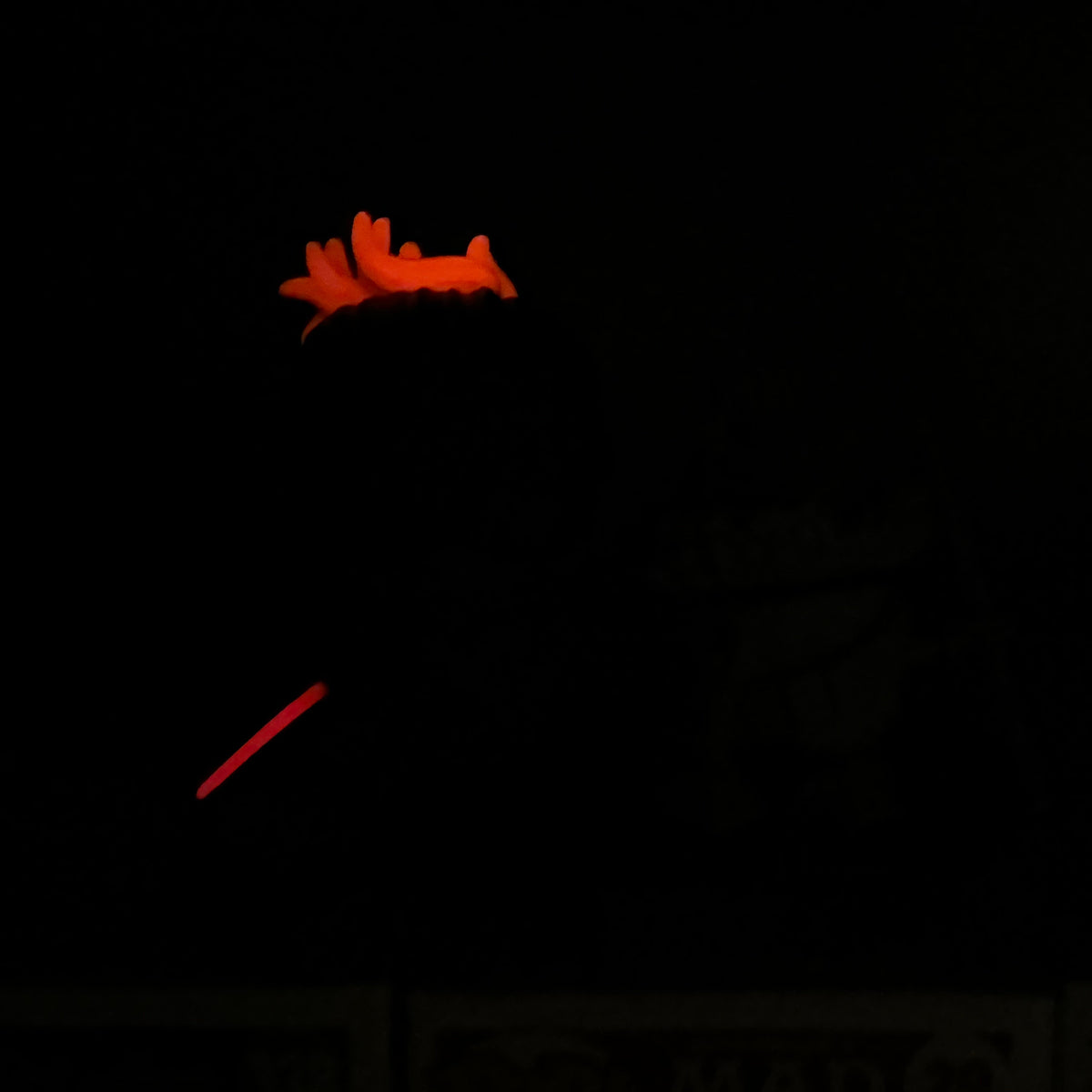 The Ronin and B5-56 (Glow) Funko Prototype