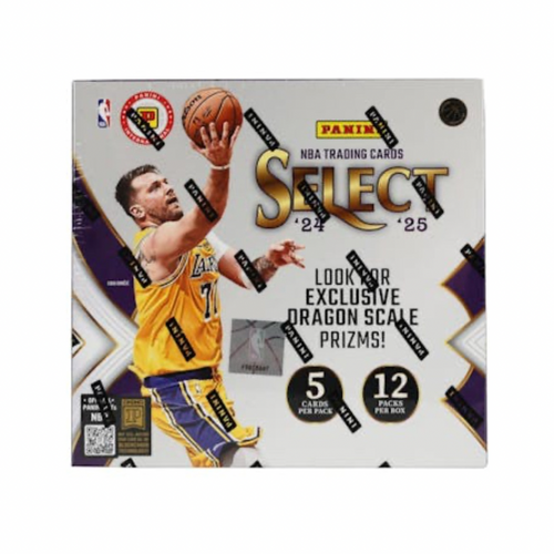 2024-25 Panini Select Basketball International Hobby Box