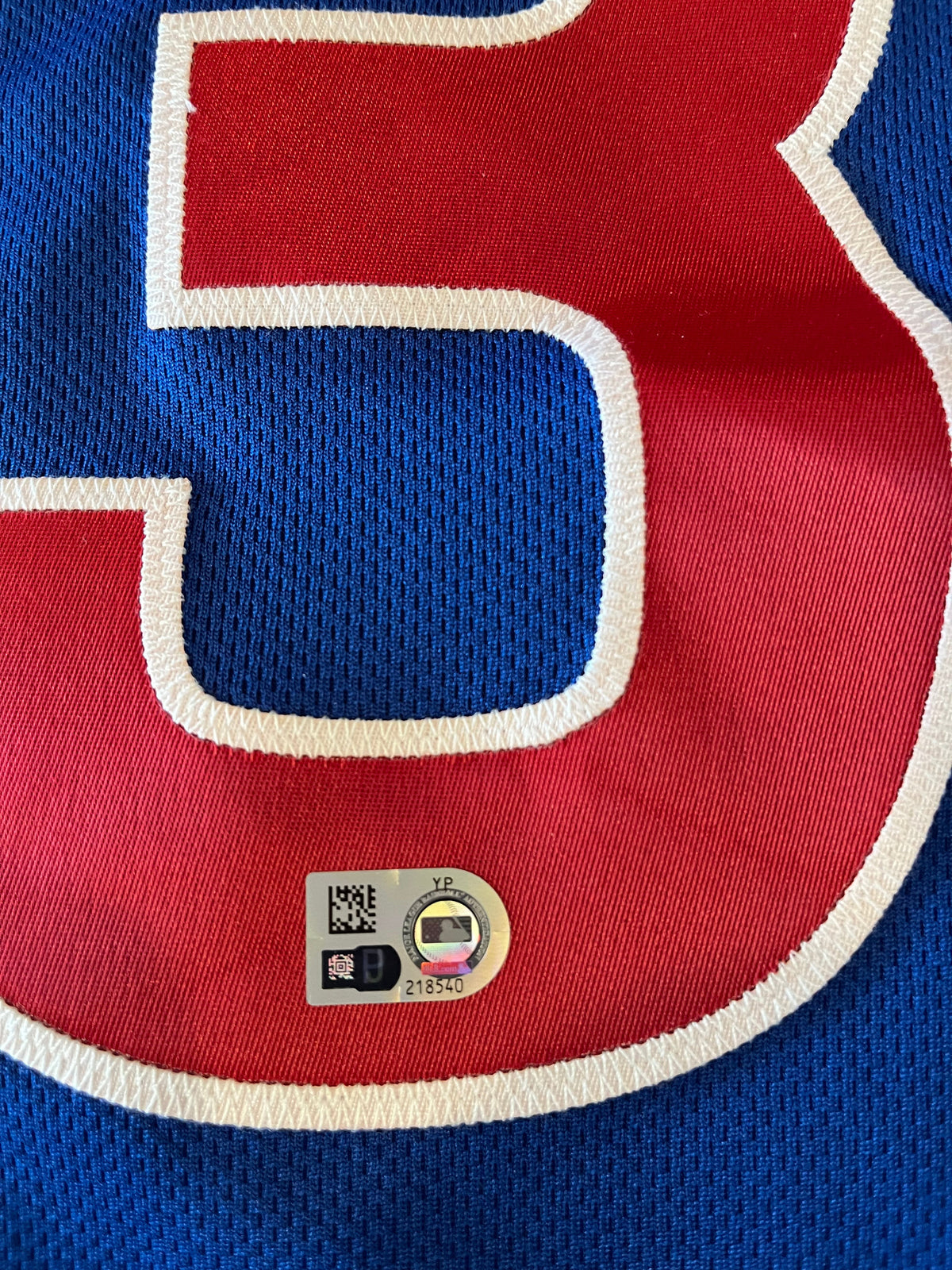 Alex Avila Autographed Authentic Chicago Cubs 2017 Postseason Jersey - Player's Closet Project