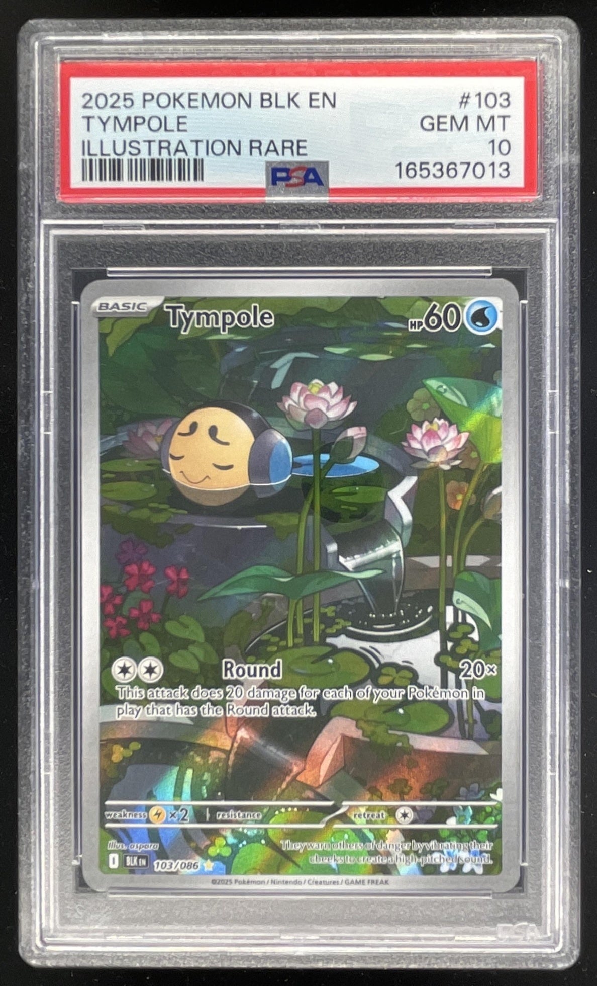 2025 Pokemon Black Bolt #103/086 Tympole Illustration Rare PSA 10