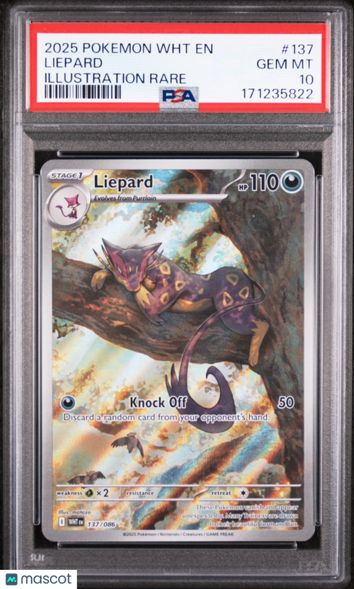 2025 Pokemon WHT EN-White Flare Liepard #137 Illustration Rare PSA 10